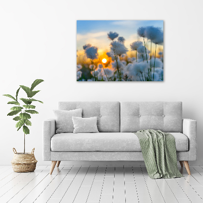 Canvas wall art Woolly