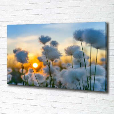 Canvas wall art Woolly