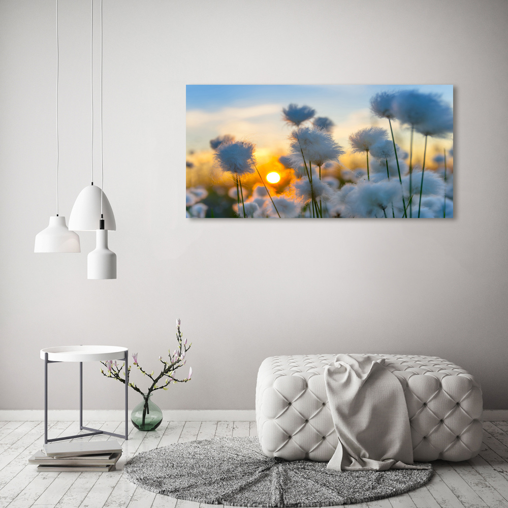 Canvas wall art Woolly