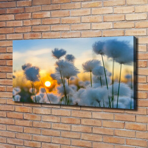 Canvas wall art Woolly