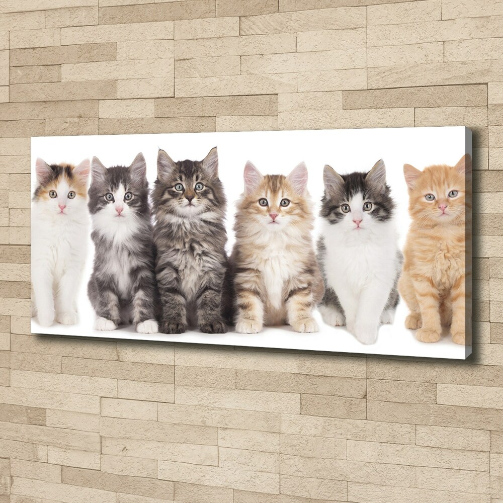 Canvas wall art Six cats