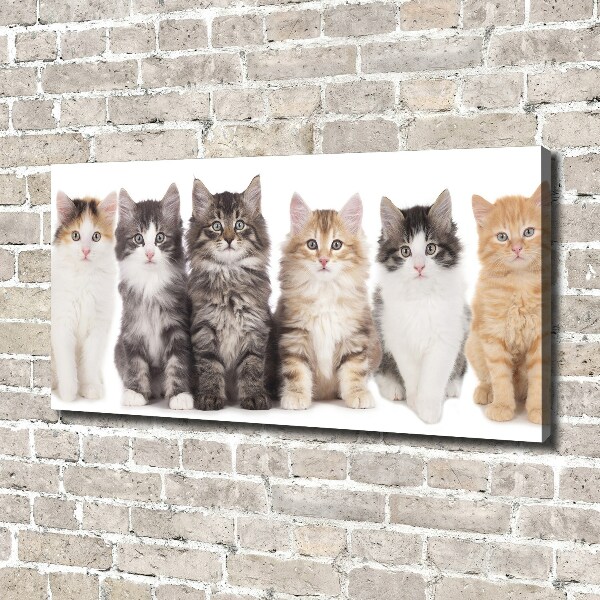 Canvas wall art Six cats