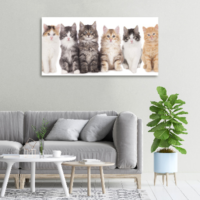 Canvas wall art Six cats