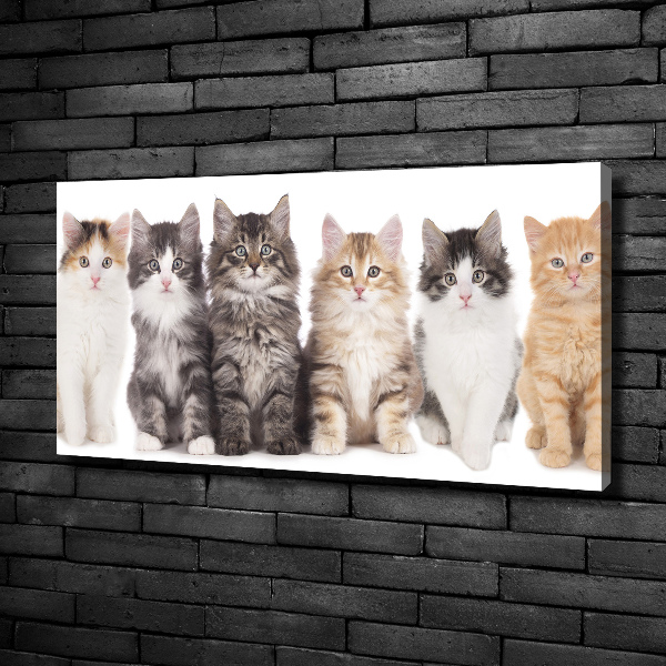 Canvas wall art Six cats