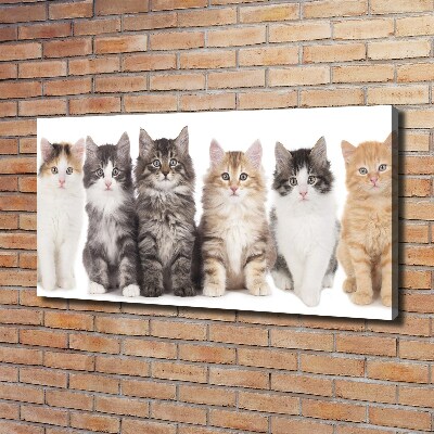 Canvas wall art Six cats