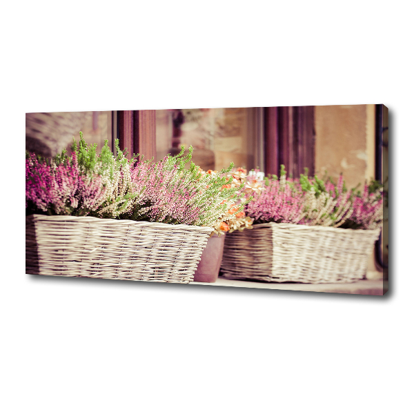 Canvas wall art Lavender in a pot