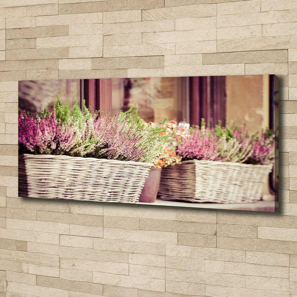 Canvas wall art Lavender in a pot