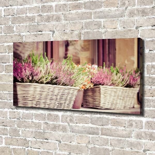 Canvas wall art Lavender in a pot