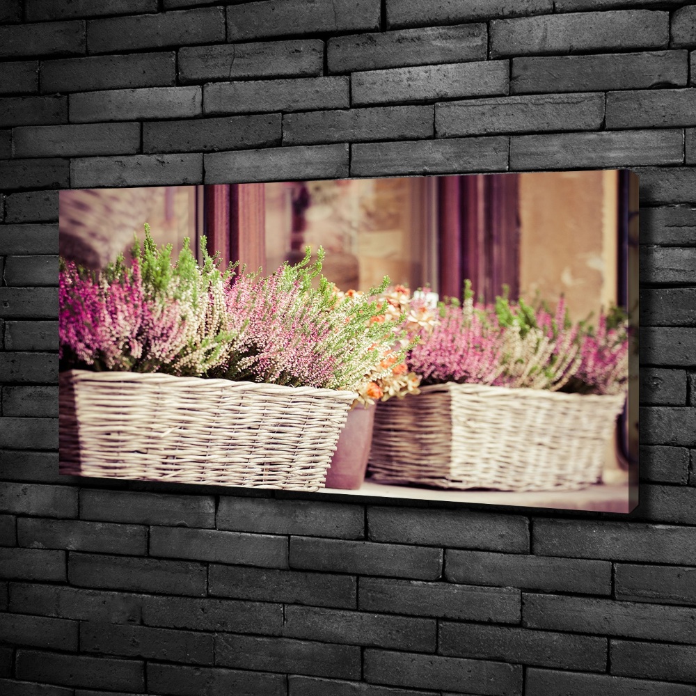 Canvas wall art Lavender in a pot