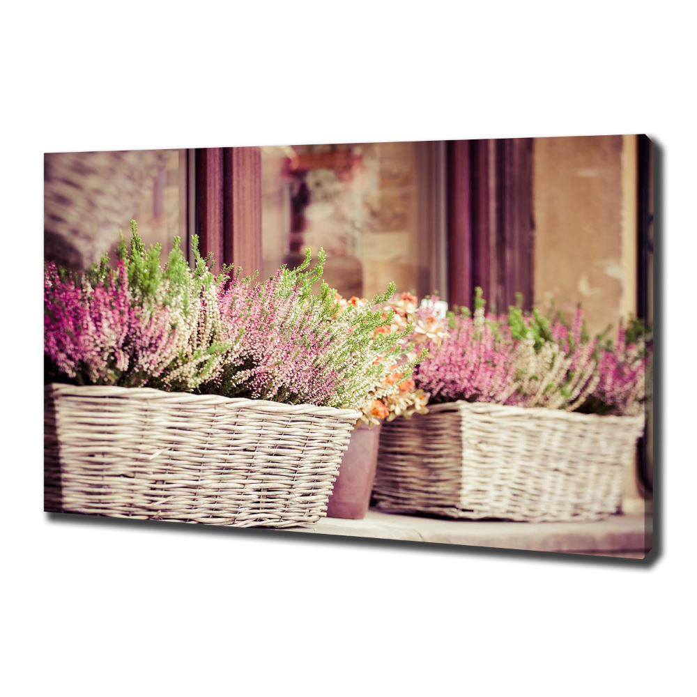 Canvas wall art Lavender in a pot