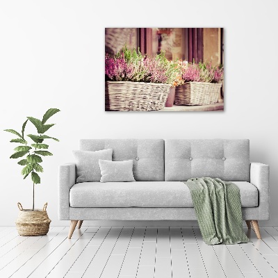 Canvas wall art Lavender in a pot