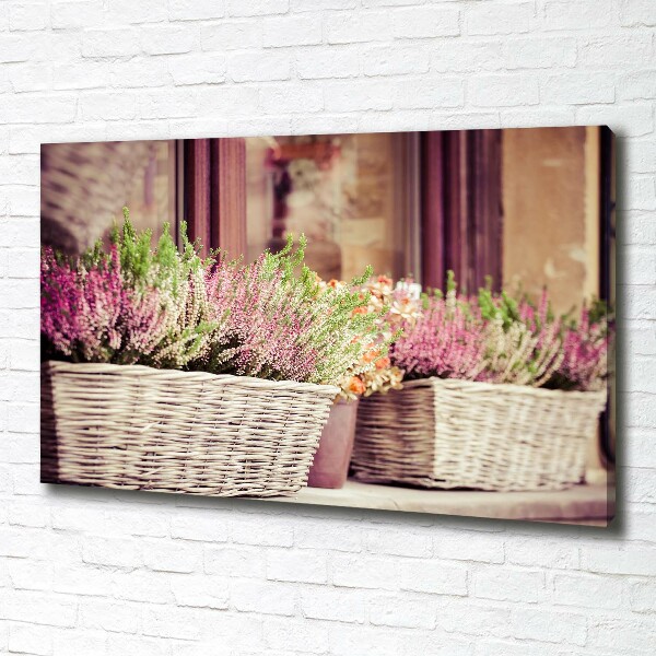 Canvas wall art Lavender in a pot