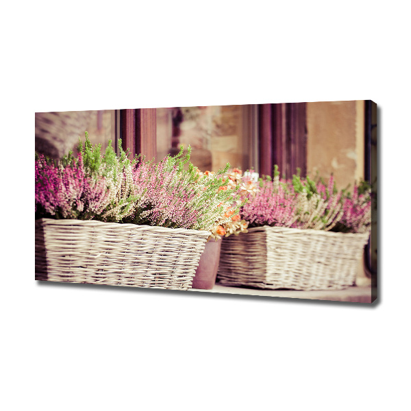 Canvas wall art Lavender in a pot