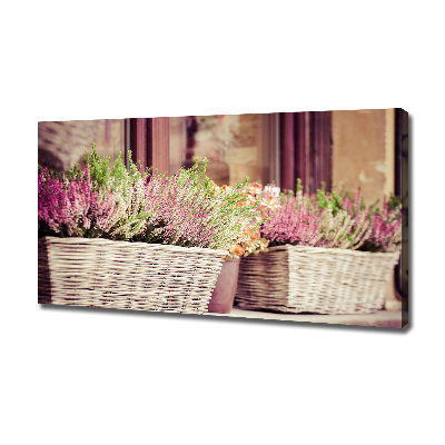 Canvas wall art Lavender in a pot