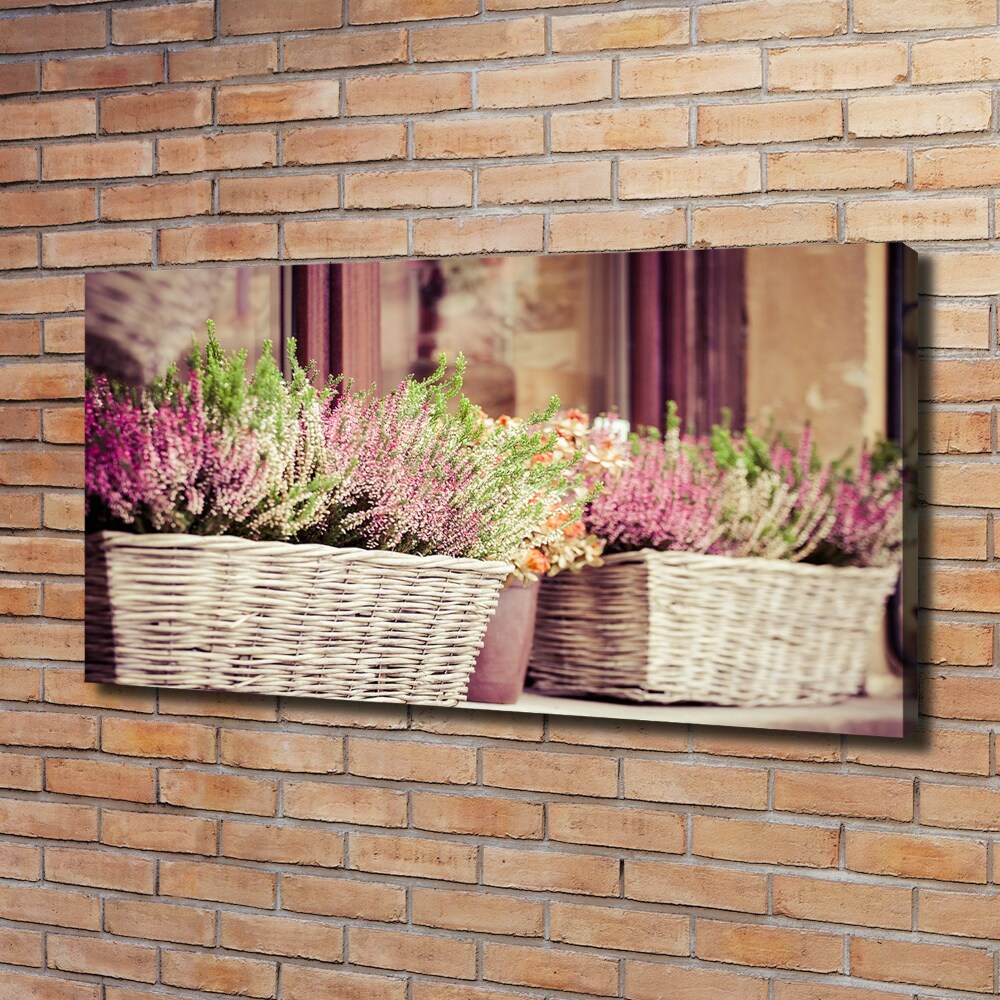 Canvas wall art Lavender in a pot