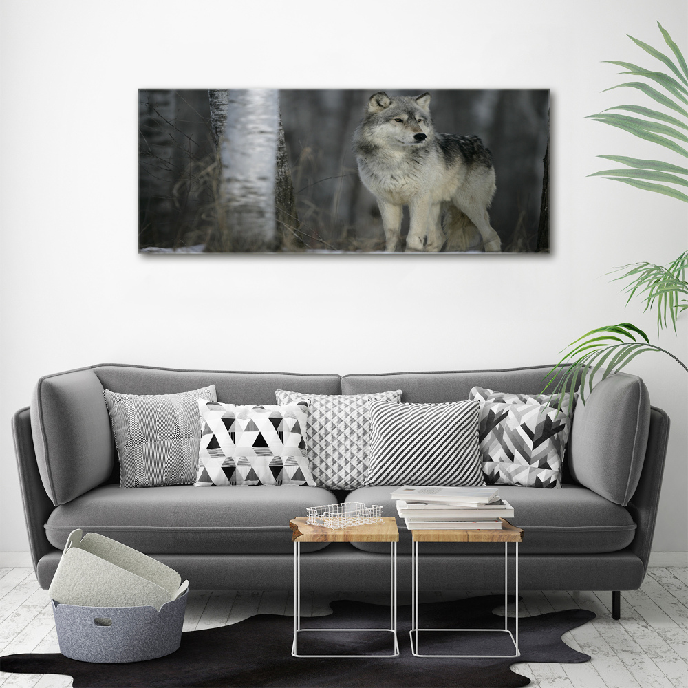 Canvas wall art Gray wolf