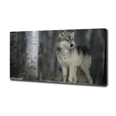 Canvas wall art Gray wolf