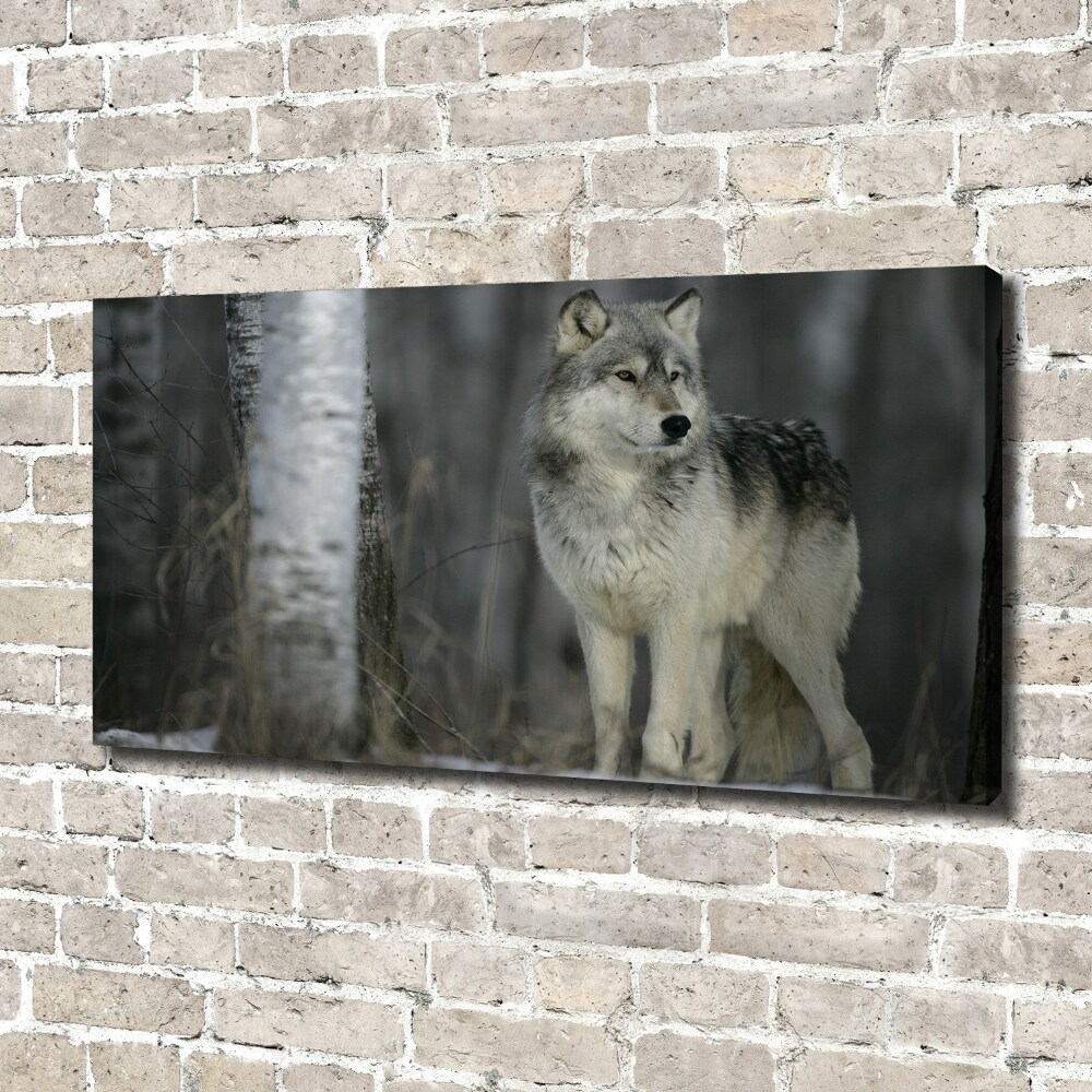 Canvas wall art Gray wolf