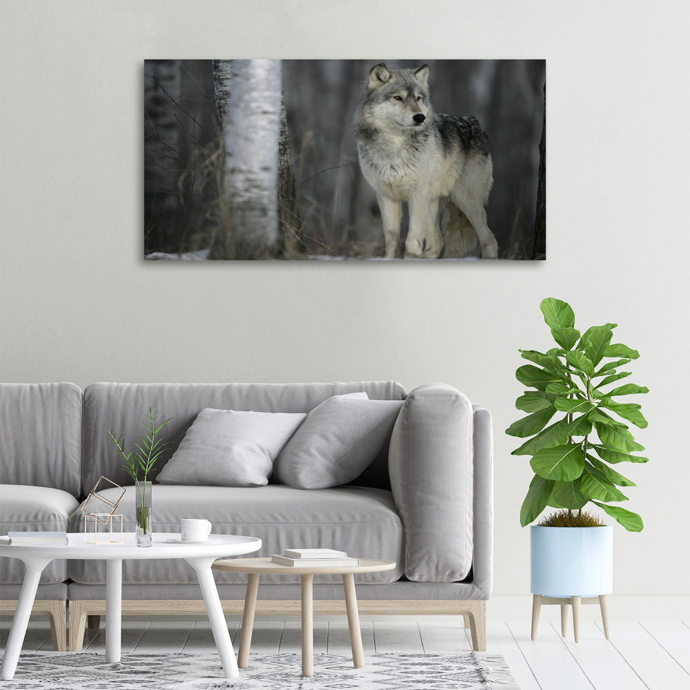 Canvas wall art Gray wolf