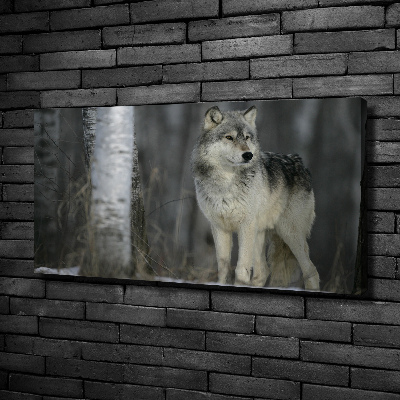 Canvas wall art Gray wolf