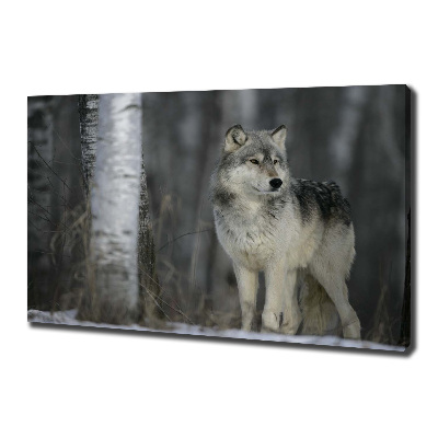 Canvas wall art Gray wolf