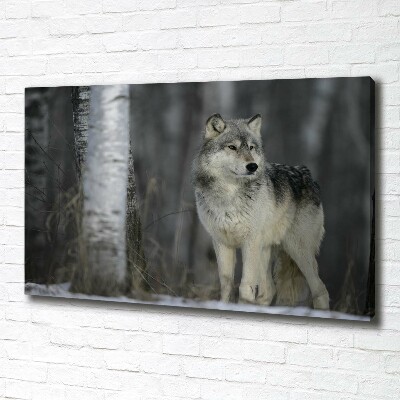 Canvas wall art Gray wolf