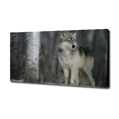 Canvas wall art Gray wolf