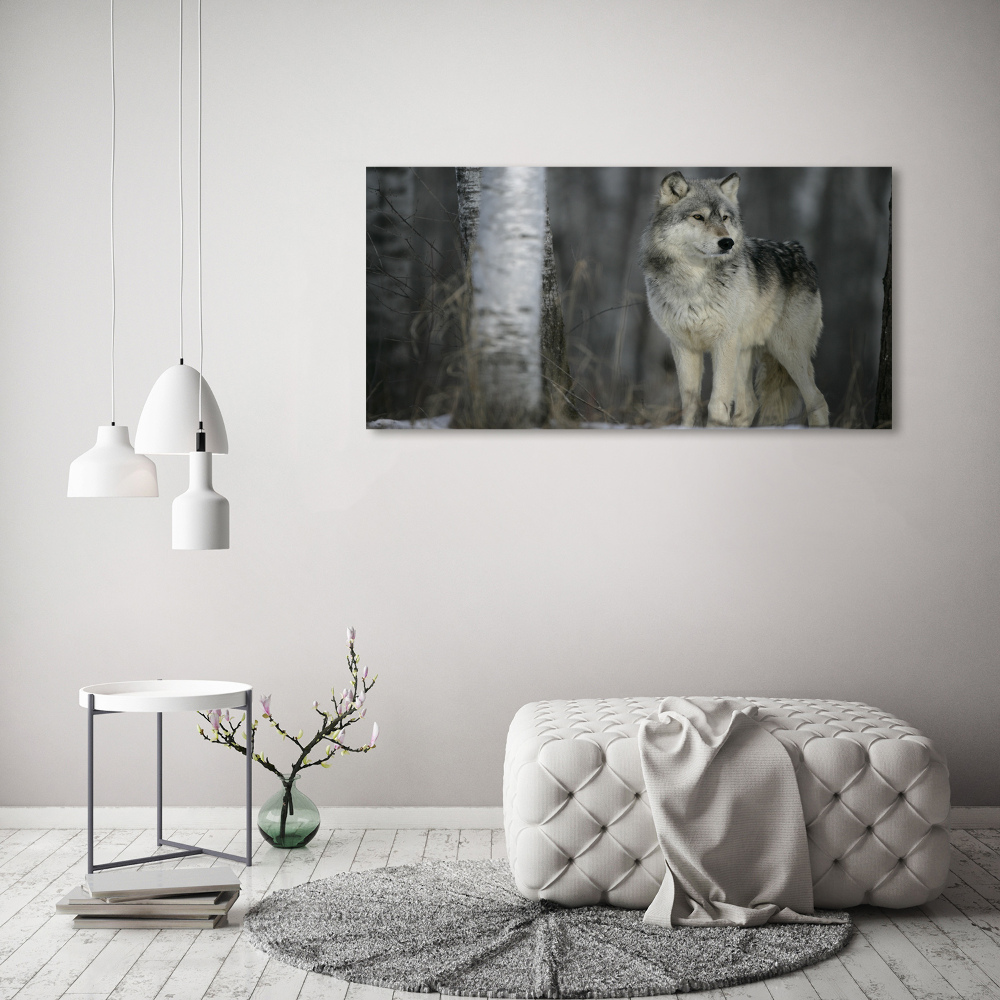 Canvas wall art Gray wolf