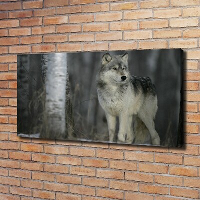 Canvas wall art Gray wolf