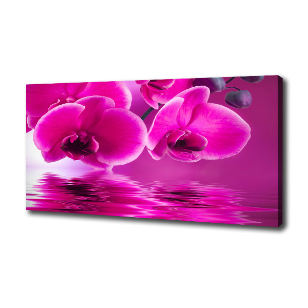 Canvas wall art Orchid