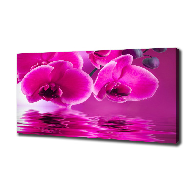 Canvas wall art Orchid