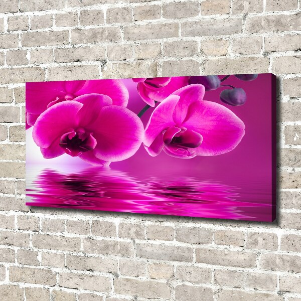 Canvas wall art Orchid