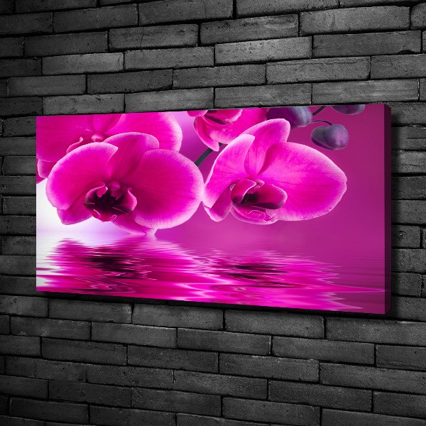 Canvas wall art Orchid