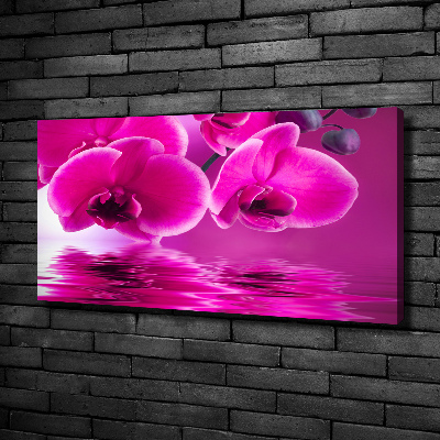 Canvas wall art Orchid