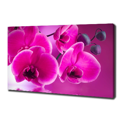 Canvas wall art Orchid