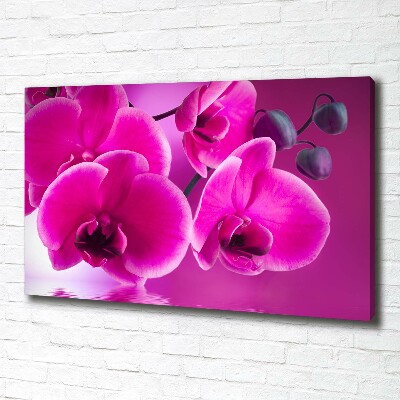 Canvas wall art Orchid