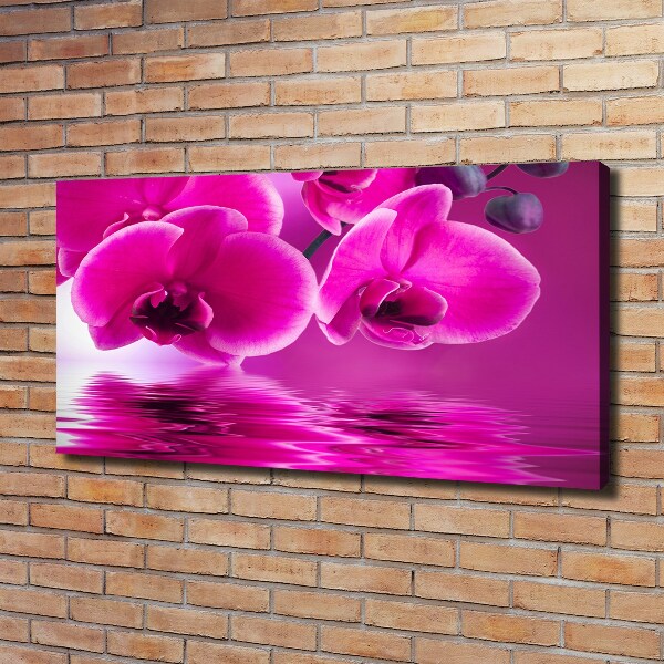 Canvas wall art Orchid