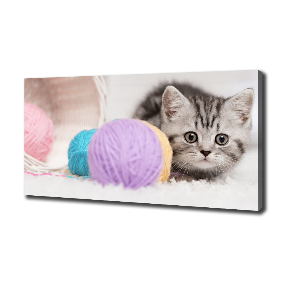 Canvas wall art Cat with skeins