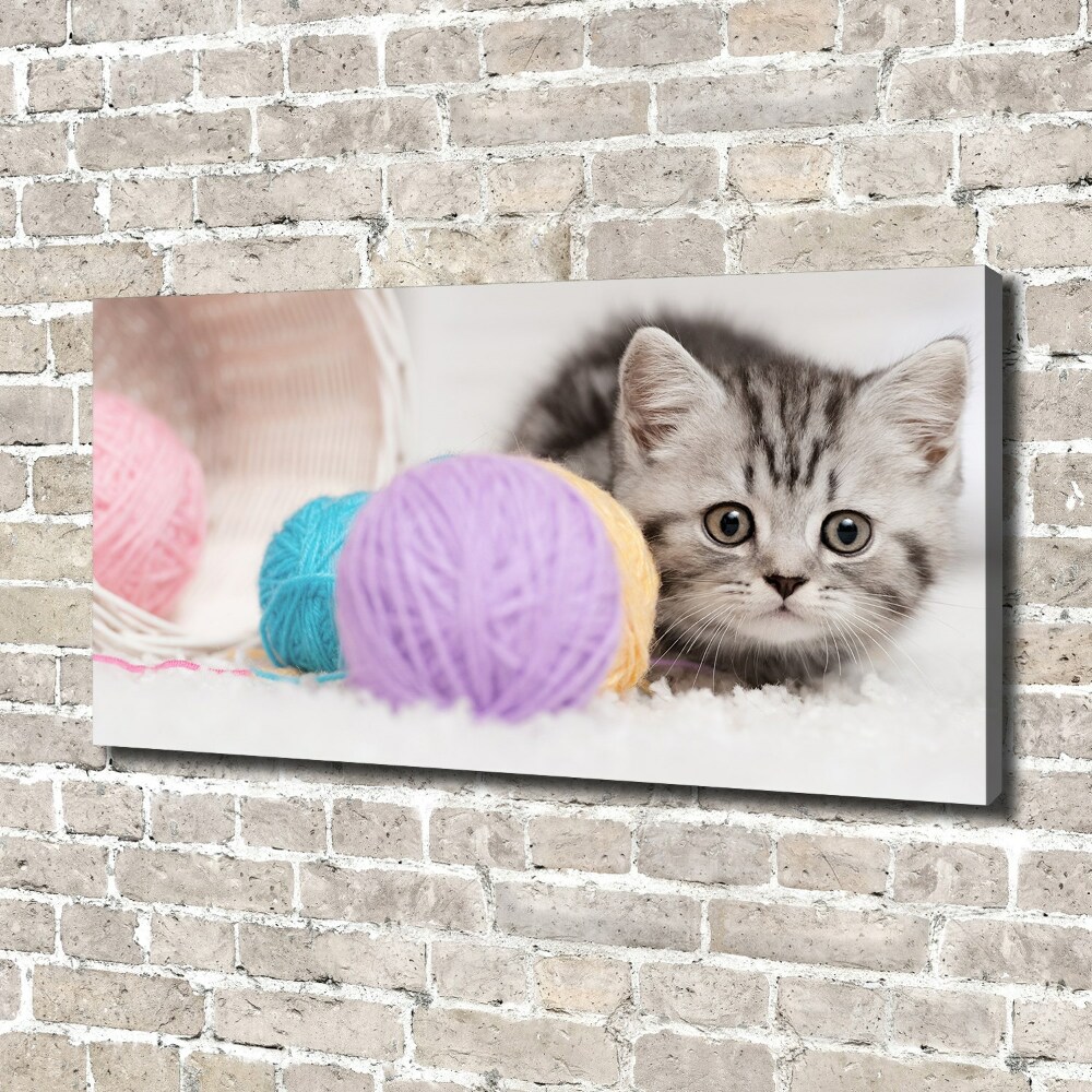 Canvas wall art Cat with skeins