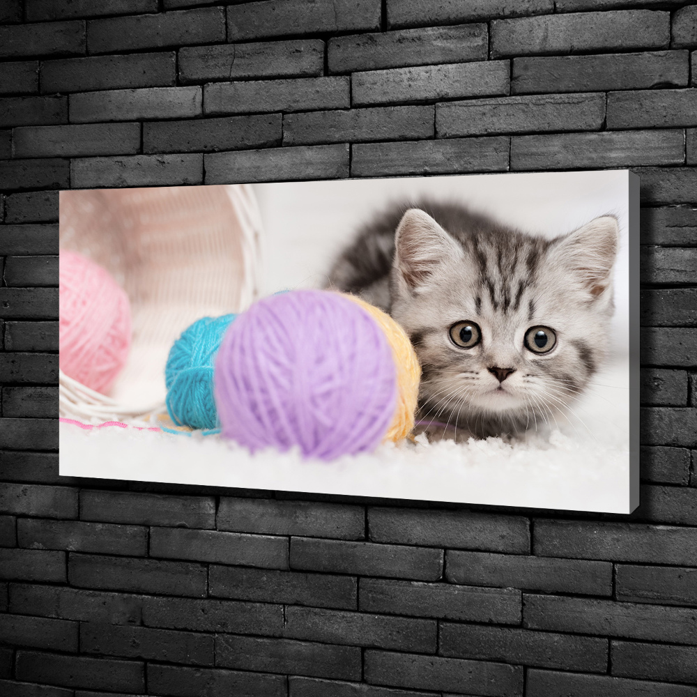 Canvas wall art Cat with skeins