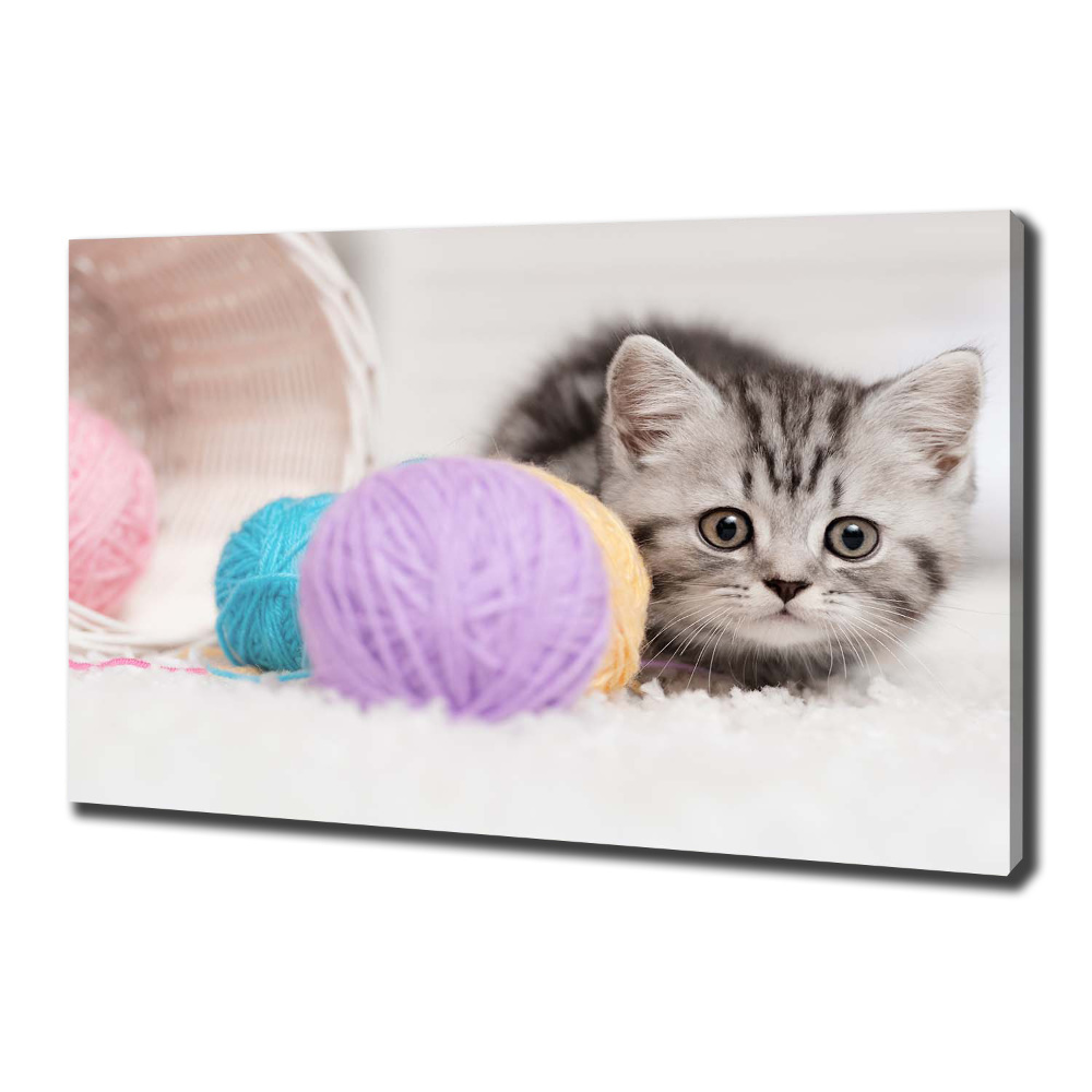 Canvas wall art Cat with skeins