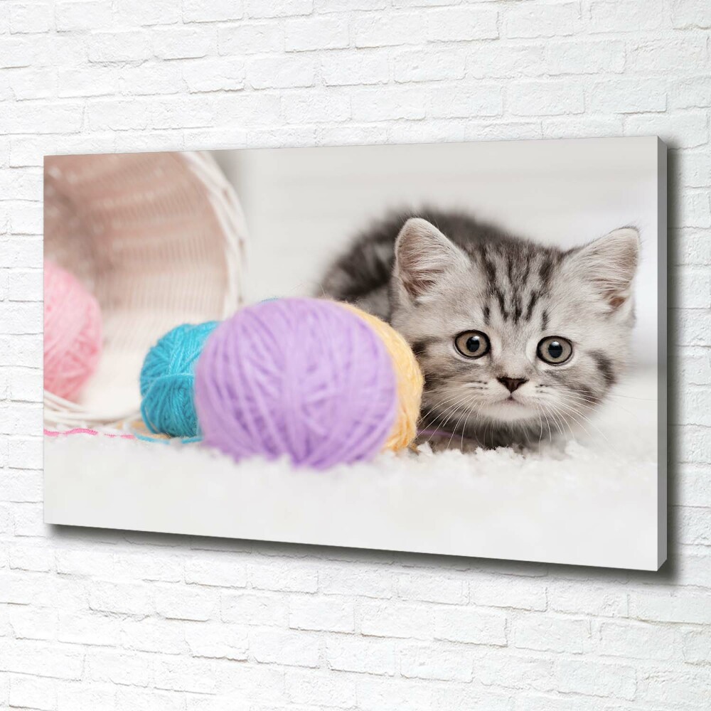 Canvas wall art Cat with skeins