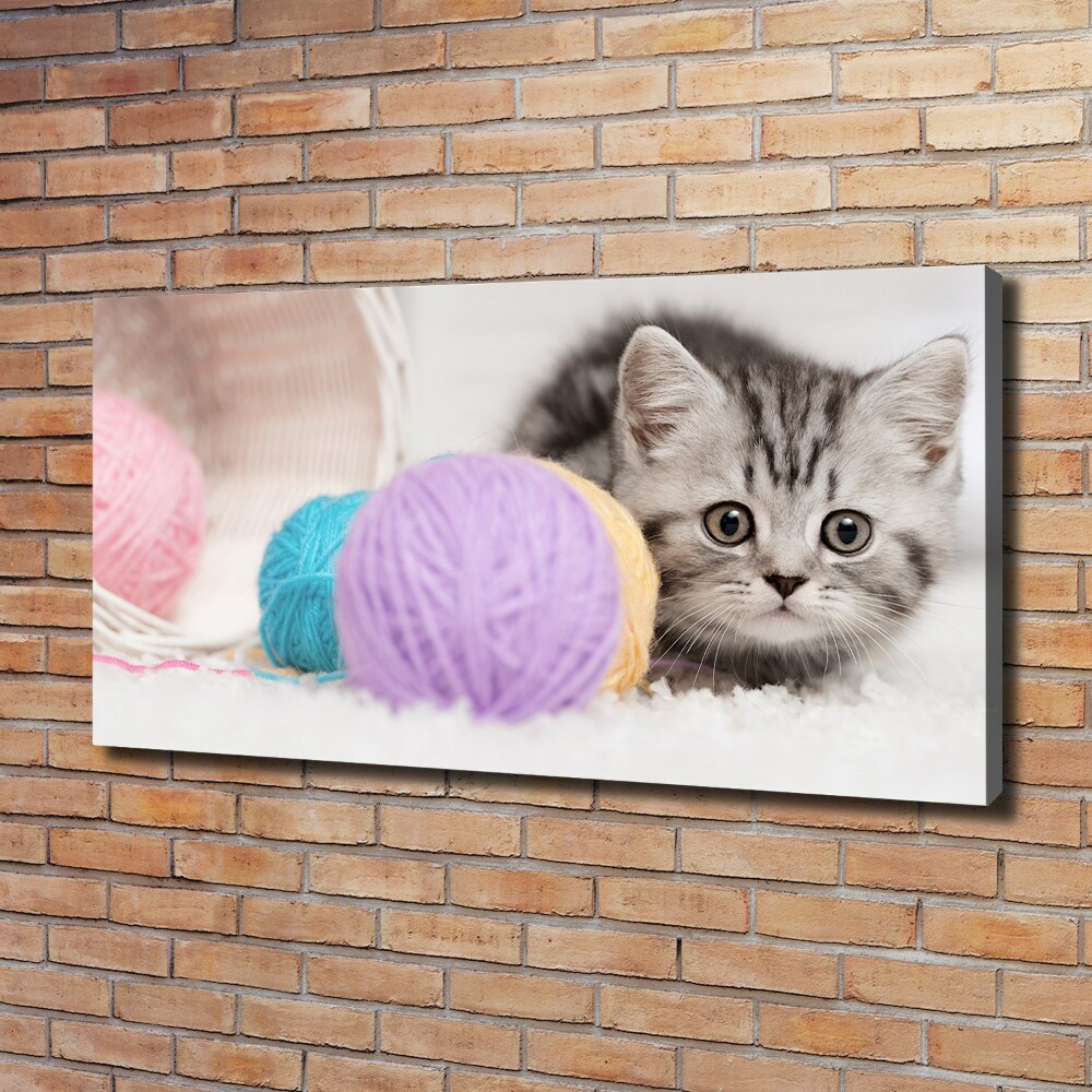 Canvas wall art Cat with skeins