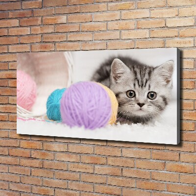 Canvas wall art Cat with skeins