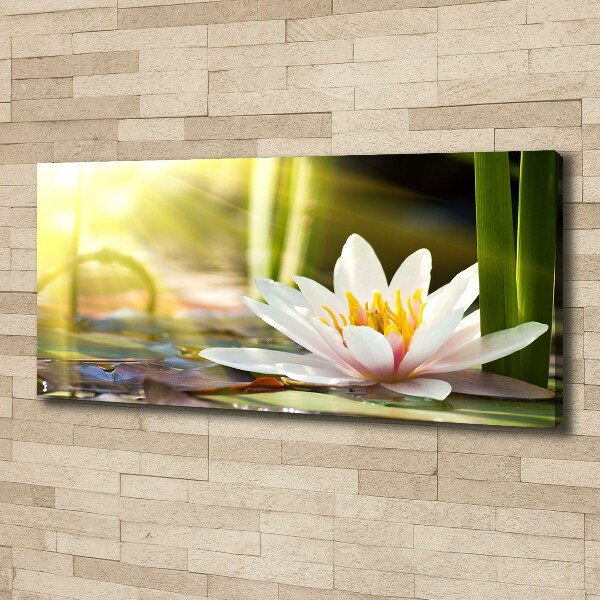 Canvas wall art water lily