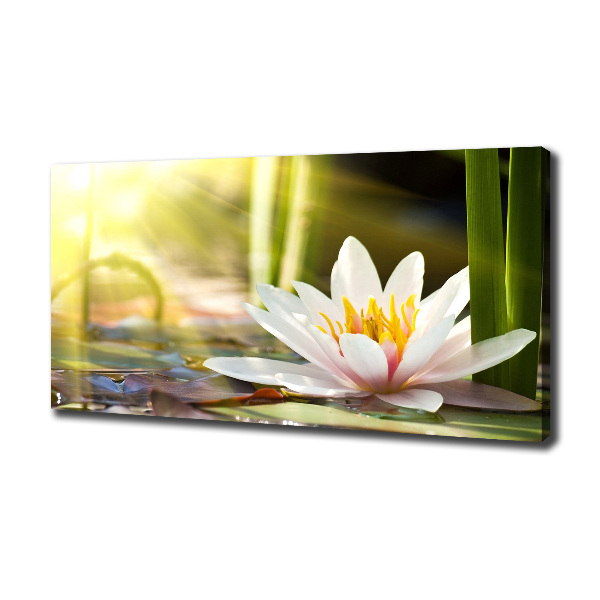 Canvas wall art water lily