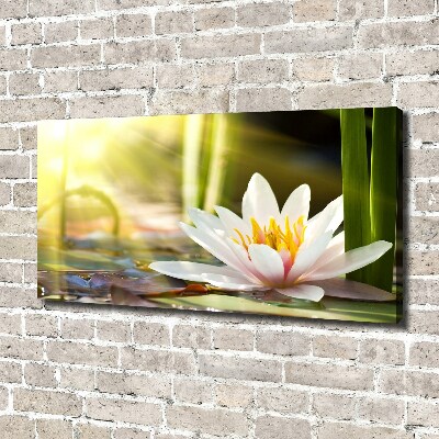 Canvas wall art water lily