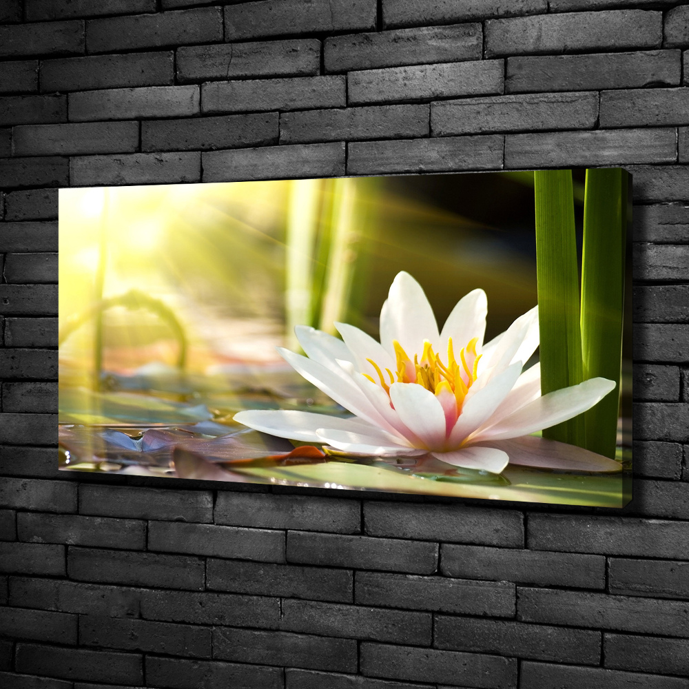 Canvas wall art water lily