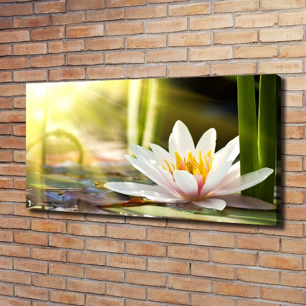 Canvas wall art water lily