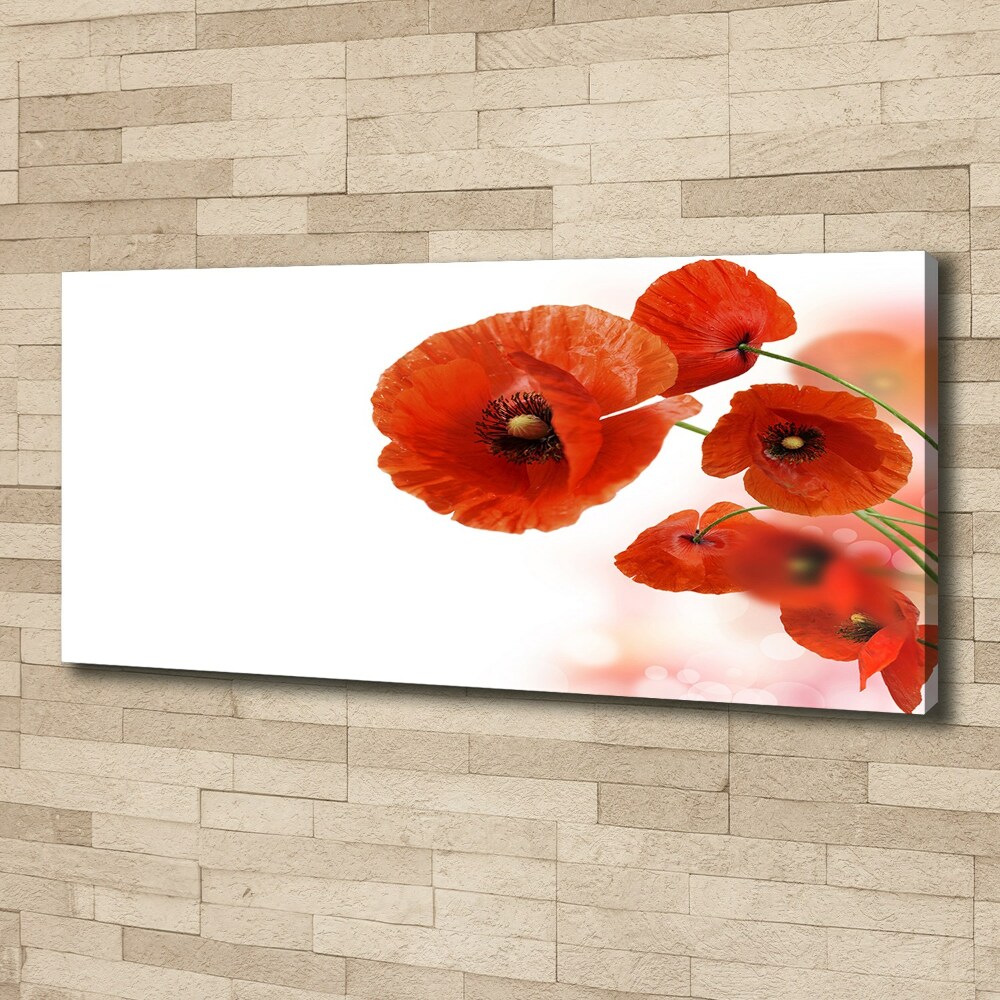 Canvas wall art Macs